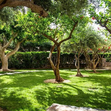 Hotel Paralos Irini Mare Agia Galini (Crete)